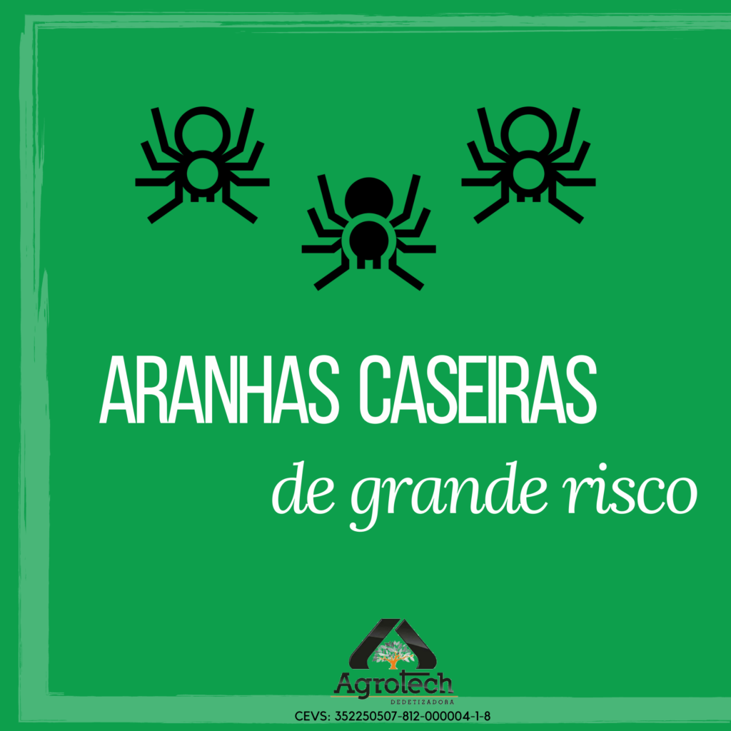 Aranhas_caseiras